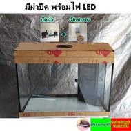 ตู้ปลา 24x12x15 นิ้ว กรองมุม หนา 5 มิล ซิลิโคนดำ(เกรดสำหรับตู้ปลาโดยเฉพาะ) ขอบตู้สีดำ รับประกันสินค้