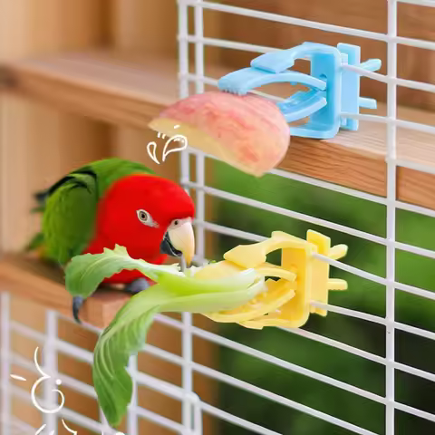 2/4pcs Set Pet Bird Food Holders Parrot Fruit Vegetables Clip Cuttlefish Bone Feeder Device for Pet 