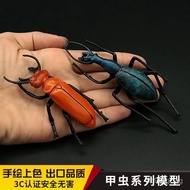 Simulated insect model for children's cognition: big beetle, beetle, kerosene beetle, horned beetle,