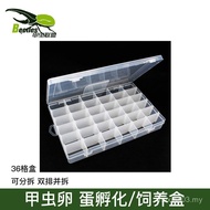 Promotion Beetle Unicorn Stag Beetle Beetle Larvae Breeding Box Incubation Box Grid Transparent Obse