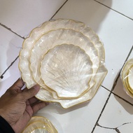 Bowl plate shell white shell plate white soft shell bowl