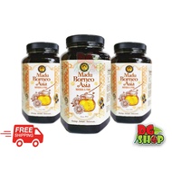 Madu Borneo Asia 1KG DGShop