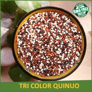 【100% Organic】500g | 1kg ORGANIC TRI COLOR QUINOA SUPERFOOD IMPORTED FROM BOLIVIA