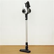 Máy hút bụi không dây Electrolux EFP31212