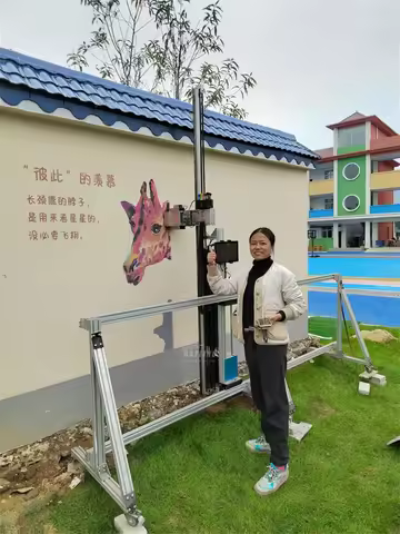 AI 4K 2 in 1 Wall Floor Printer 9600dpi 32/64 ㎡/h with UPS Battery UV-LED Instant Cure Print CE Dire