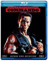 DVD💖獨闖龍潭/魔鬼司令 Commando  15-064🔥電影 電視劇