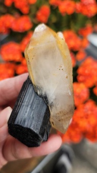 巴基斯坦雙尖黑碧璽骨幹水晶 #89g #PK0003