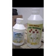 tauge bean sprout togue