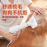 Others - 寵物吹風機 -二合一便攜式寵物吹風機，寵物吹風機梳，中小型犬和貓用靜音便攜式吹風機 -英规