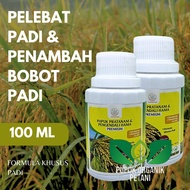 Pupuk Pelebat Padi Sawah organik cair dasar pratanam pengendali hama pendongkrak hasil panen pelebat