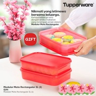 Modular Mate Rectangular Tupperware - 2 L || MM Rect 2 L With Gift Tupperware || Modular Mates Rect 