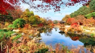 Alpaca World + Nami Island + The Garden of Morning Calm One Day Tour [Depart from Seoul • Family Fri