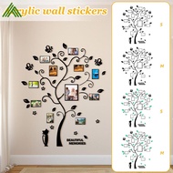 Picture Frames Tree Acrylic Picture Wall Decor DIY Wall Photo Frames Adhesive Wall Picture Frames fo
