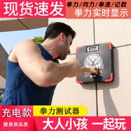 Box Boxing Power Tester Boxing Target Sticker Wall Target Household Boxing Power Tester Intelligent 