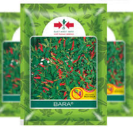 Benih Bibit Cabe Rawit Hijau BARA 3200bj