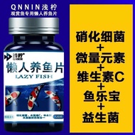 Lazy Fish Tank Fish Fillet Water Purification Digestive Fish Turtle vc Vitamin c Digestive Probiotic