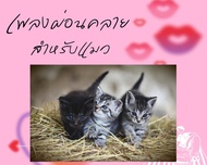 [พรเทวะ] แฟลชไดร์ฟ Magic Relaxing Music for Cats (เพลงผ่อนคลาย สำหรับแมว)   ความยาว 11 ชั่วโมง ใช้กับเครื่องเล่น USB/mp3 ทุกชนิดหรือเปิดฟังในรถยนต์เปิดในคอมพิวเตอร์ได้