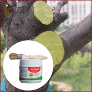 [kokiya] Traumwound Sealing, Plant Transplantaps, Bonsai Cutting Paste, Tree Repair Ointment, Tree W