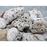 Pumice Stone Pumice/ (Filter Media Bacteria Media/)