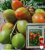 BENIH TOMAT MARTOPO F1 10 GRAM- BRC