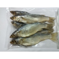 Ikan Belanak Masam /Ikan Belanak