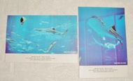 日本美麗沖繩之海水族館 明信片(二張一組)
