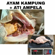 ayam kampung + ati ampela mentah 1kg