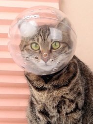 1入組防咬透氣保護式太空罩反舔貓口罩,貓咪洗澡美容袋寵物用品