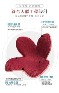 日本花瓣型骨盆枕矯正坐姿墊(美臀墊 護腰枕 坐墊 靠枕 靠腰枕)