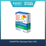 HISAMITSU Salonpas Patch [40S]