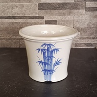 Bonsai Ceramic Pot | Succulents | Cactus cactus | Medium Flower
