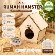 T1B Cute Hamster House Hamster House Hamster House Couple Hamster House Roborovski Hamster House Win
