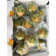 Arhat Golden Fruit Guilin Specialty - Sublimation Dried Arhat Guo