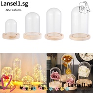 NS Glass cloche Terrarium Tabletop Fairy Lights Glass Vase Jar Transparent Bottle Flower Storage box