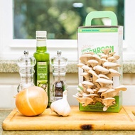 Organic Mushroom Planting Kit Holiday Gardening Gift Oyster Mushroom Planting Kit