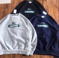 日本預訂 3色選 Lacoste x beams japan 長袖logo衣