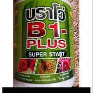 🔥 Terbaik Baja Thailand 3in1 / Vitamin Pokok / Fertilizer / B1 Plus Super Stat - 1000ml (repax) super vitamin siam plus