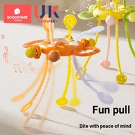 Baby 3 to 6 Months Over 6 Young Children 12