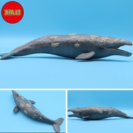 New Simulated Sea Life Models Toys Animal Action Figure Grey whale Whale Toy Figures for Children Ba