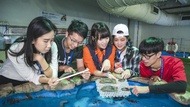 屏東-夜宿海生館| 入住台灣水域館一晚 3/31前早鳥預訂享精美明信片一份