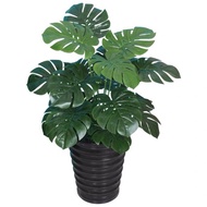 M60 Pokok Hiasan Monstera Artificial Monstera