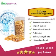 Raw Frankincense / Luban Biji - Bioshifax