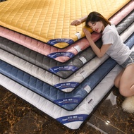 Mattress on the floor Thicker 5cm Tatami Mattress Bed Mattress Topper Tilam Queen Bedding [Ready Stock]