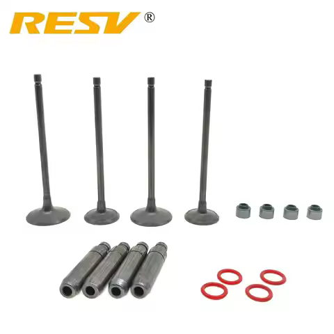 RESV for Bajaj Pulsar NS200 200NS AS200 RS200 Rouser NS AS RS 200 Valve Intake Exhaust Stem Guide Pi