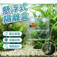 One-Piece Guppy Incubation Box Guppy Isolation Box Female Fish Isolation Box Water Grass Box