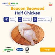 [Beacon Mart] Halal Seaweed Chicken Half Chicken (750g±/pack) | Ayam Separuh | 海藻鸡-半只