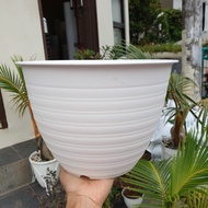 PUTIH Mdn Pot 27 Color White Non Wasp Ornamental Plant Plastic Flower 27cm cm
