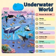 0-6 years baby Learning Wall Chart Learning For Kids ABC Learning Poster Educational Poster Pendidik