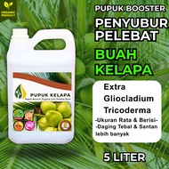 Pupuk Kelapa Agar Cepat Besar Berbuah Lebat Anti rontok | Pupuk Booster Kelapa Hibriba Hijau Pendek