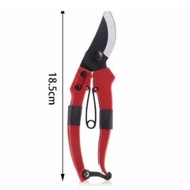 Tree branch scissors